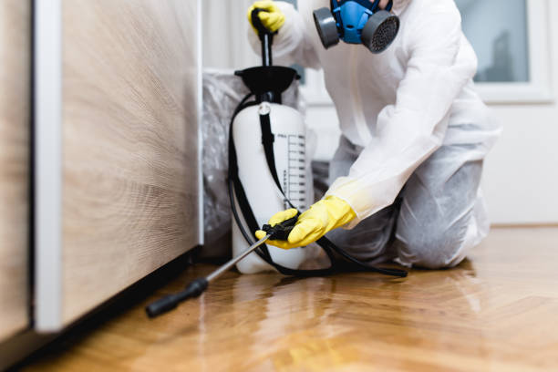Best Termite Control Services  in Washoe Valley, NV