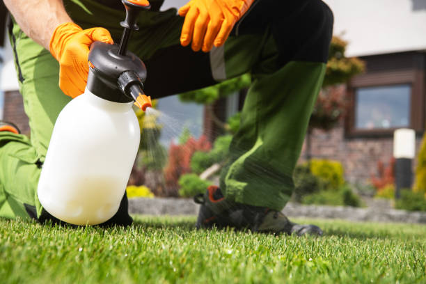 Best Affordable Pest Control Services  in Washoe Valley, NV