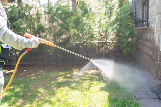 Reliable Washoe Valley, NV Pest Control Solutions