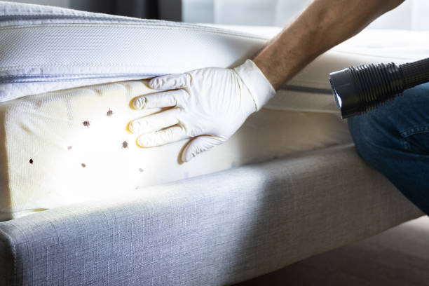 Best Exterminator Services  in Washoe Valley, NV